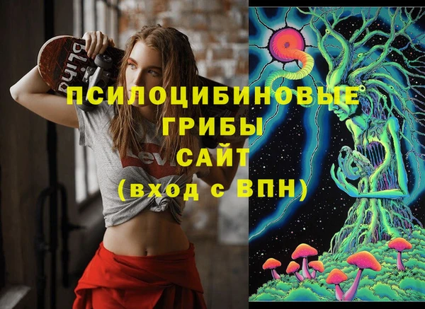 крисы Беломорск